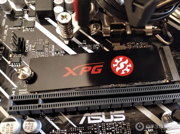 Материнская плата Asus Prime H610M-K D4 фото