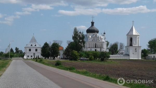 Отдых в Могилеве (Беларусь, Могилев) фото