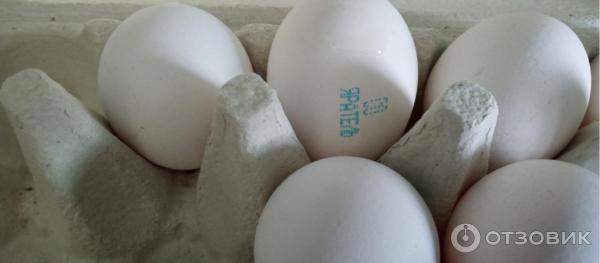 Яйца куриные Yaratelle фото