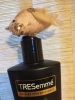 Шампунь TRESemme Curls&Waves "Стоп пушистость" для кудрявых и пушистых волос фото