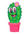 Magic Cactus