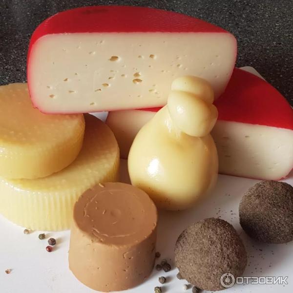 Cheese-lab.ru - онлайн-школа сыроделия Cheese lab фото