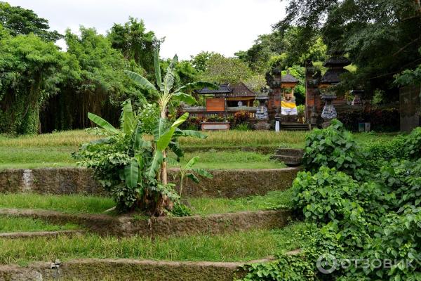 Сафари-парк Bali Safari and Marine Park (Индонезия, Бали) фото