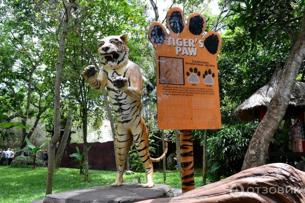 Сафари-парк Bali Safari and Marine Park (Индонезия, Бали) фото