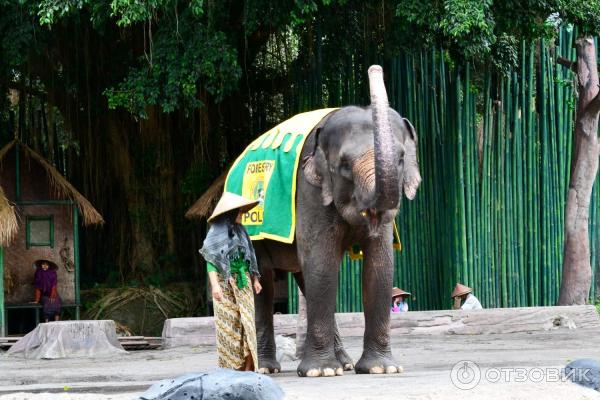 Сафари-парк Bali Safari and Marine Park (Индонезия, Бали) фото