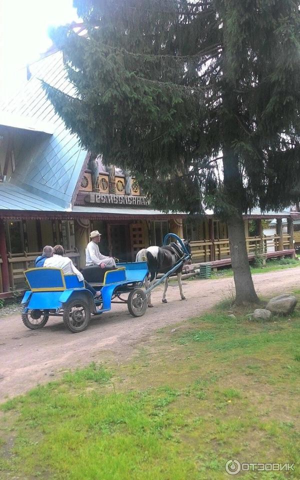 Сказачная тропа Лукоморье (Россия, Верхние Мандроги) фото