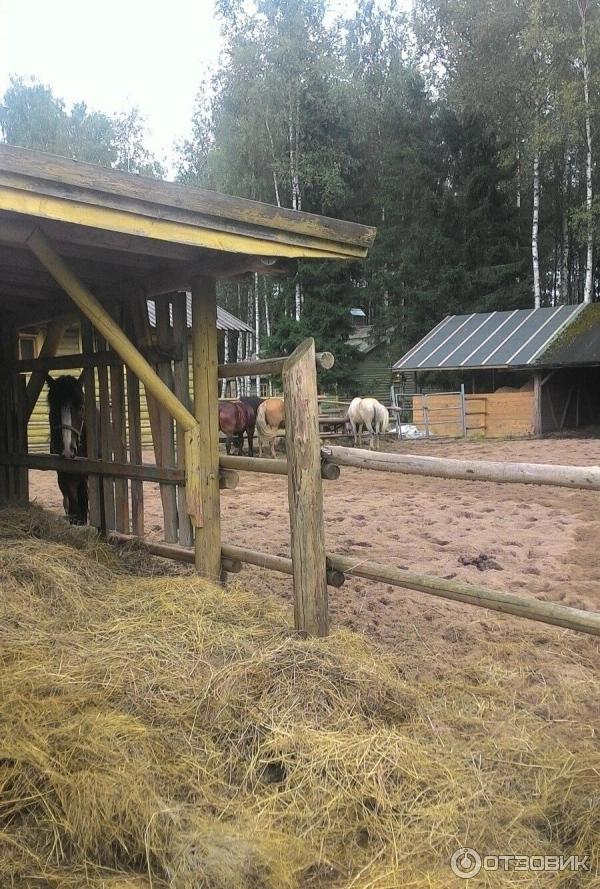 Сказачная тропа Лукоморье (Россия, Верхние Мандроги) фото