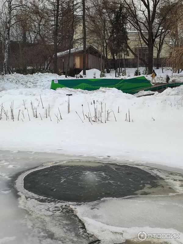 Городская ферма на ВДНХ (Россия, Москва) фото