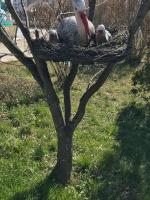 Санаторий "Аквамарин" (Россия, Витязево) фото