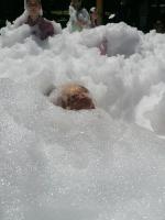 Парк отель "Звенигород" (Россия, Звенигород) фото