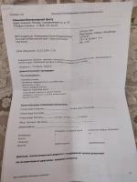 Голая Китайская хохлатая собака фото