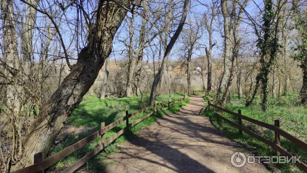 Плачущая скала (Крым) фото