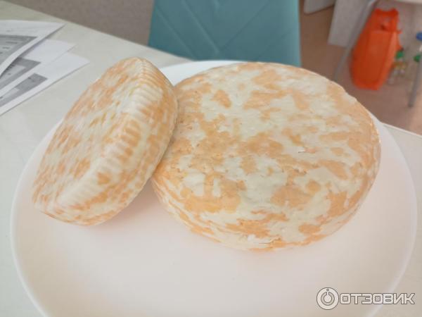 Cheese-lab.ru - онлайн-школа сыроделия Cheese lab фото