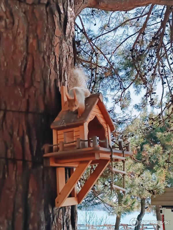 Набережная в Геленджике (Россия, Геленджик) фото