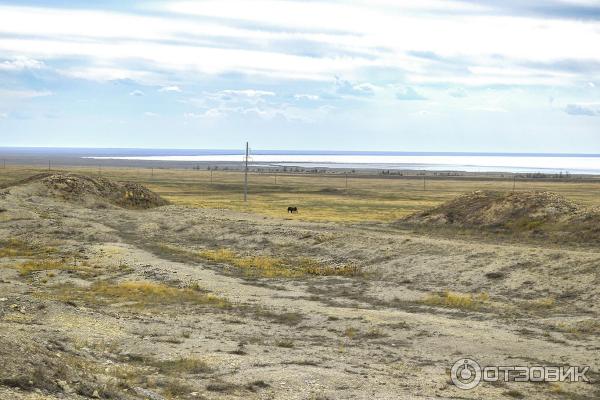 Санаторий Эльтон (Россия, Волгоградская область) фото