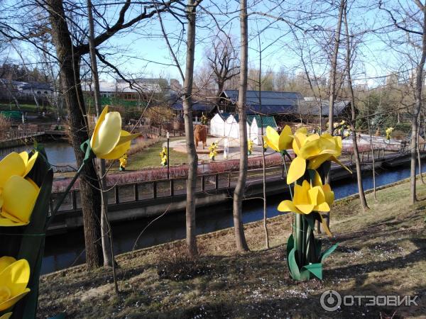 Городская ферма на ВДНХ (Россия, Москва) фото