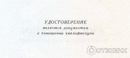 Федеральный проект Содействие занятости (Россия) фото