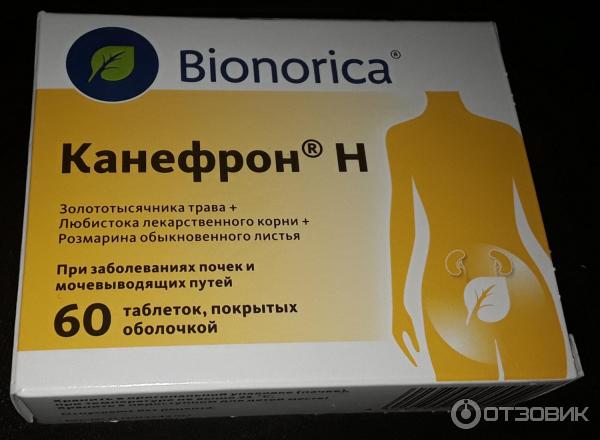 Лекарственное средство Bionorica Канефрон Н фото