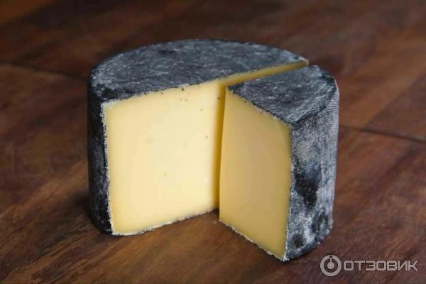 Cheese-lab.ru - онлайн-школа сыроделия Cheese lab фото