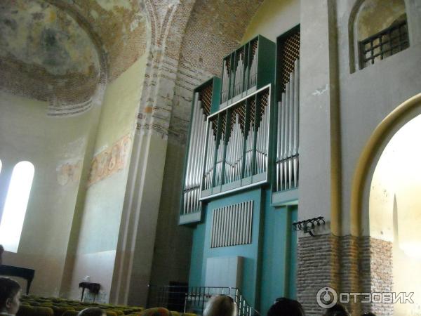 Природный парк на территории Объединения пансионатов Пицунды (Абхазия, Гагрский район) фото