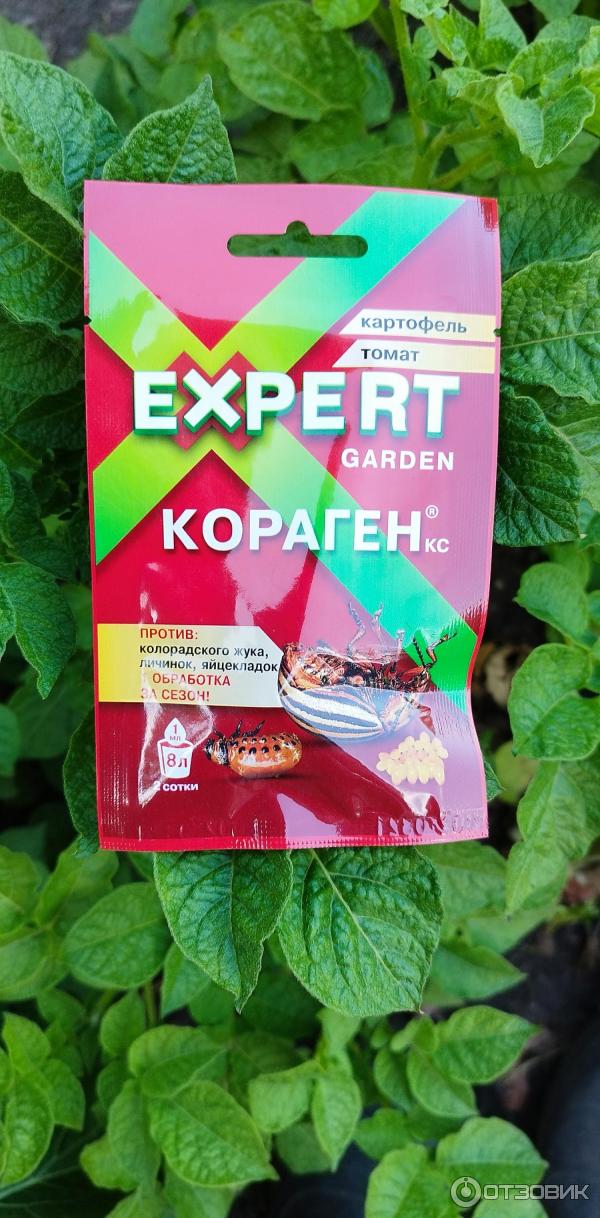 Инсектицид Expert Garden Кораген кс фото