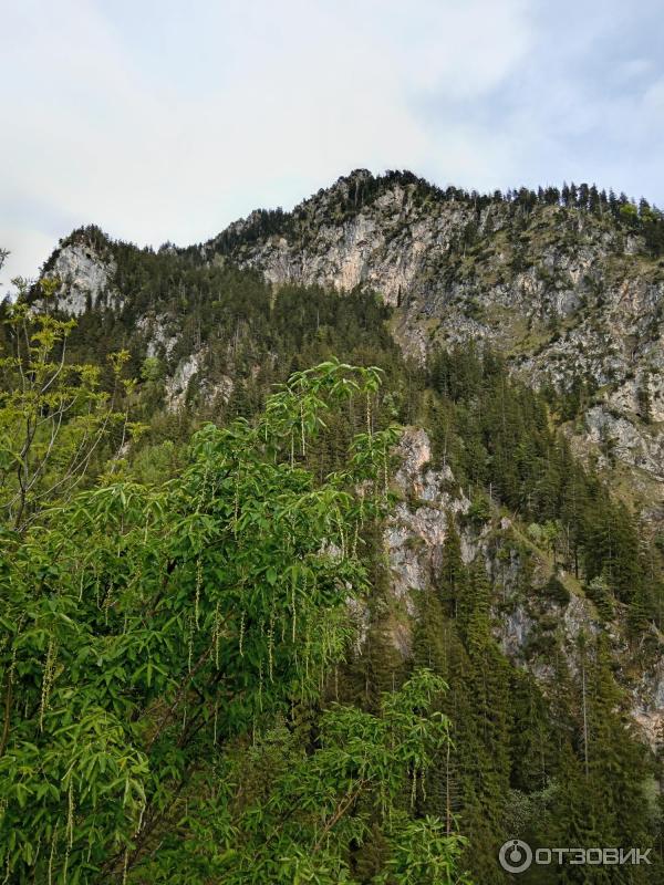 Экскурсия в Замок Нойшванштайн (Германия, Швангау) фото