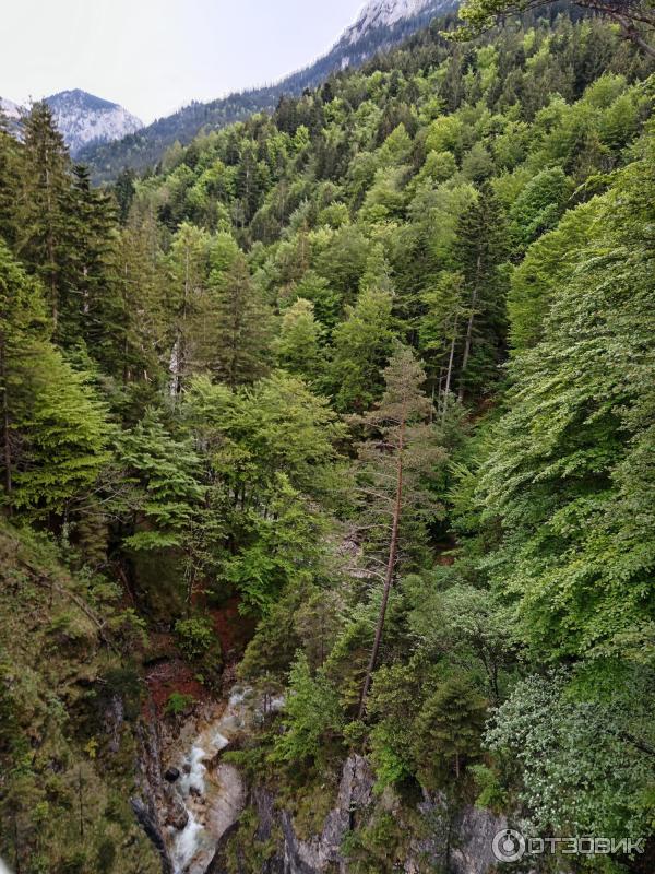 Экскурсия в Замок Нойшванштайн (Германия, Швангау) фото