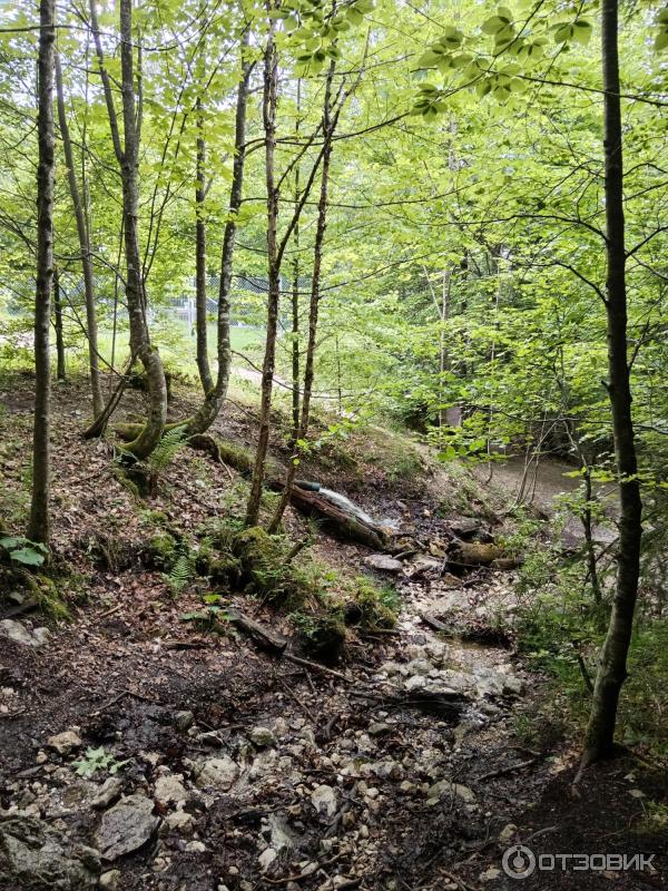 Экскурсия в Замок Нойшванштайн (Германия, Швангау) фото