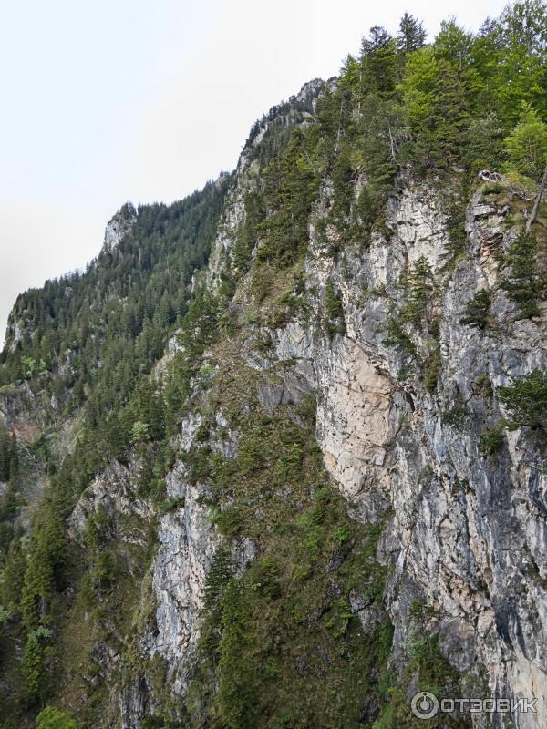 Экскурсия в Замок Нойшванштайн (Германия, Швангау) фото