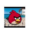 AngryBirdsFan