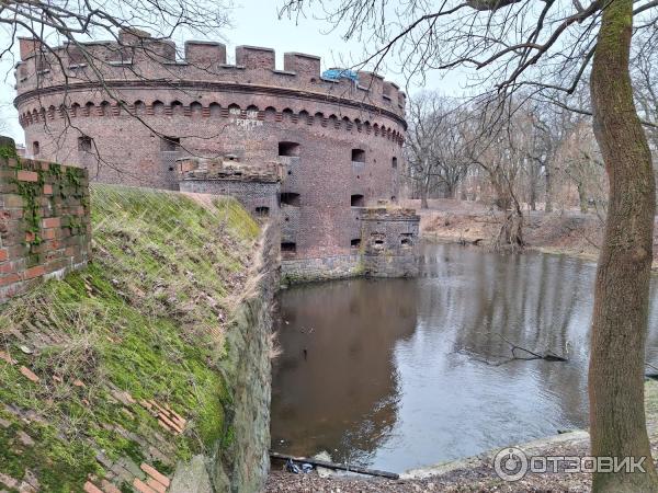 Башня Врангель (Россия, Калининград) фото