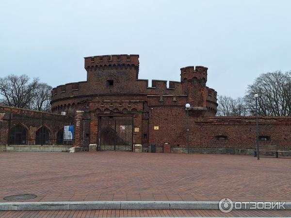 Башня Врангель (Россия, Калининград) фото