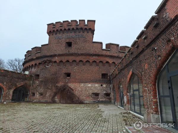 Башня Врангель (Россия, Калининград) фото