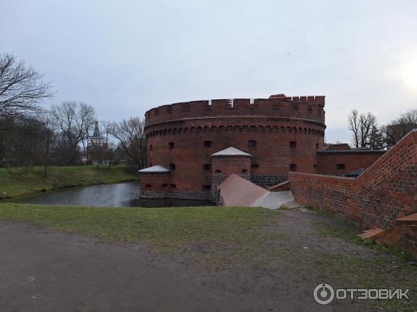 Башня Дона (Россия, Калининград) фото