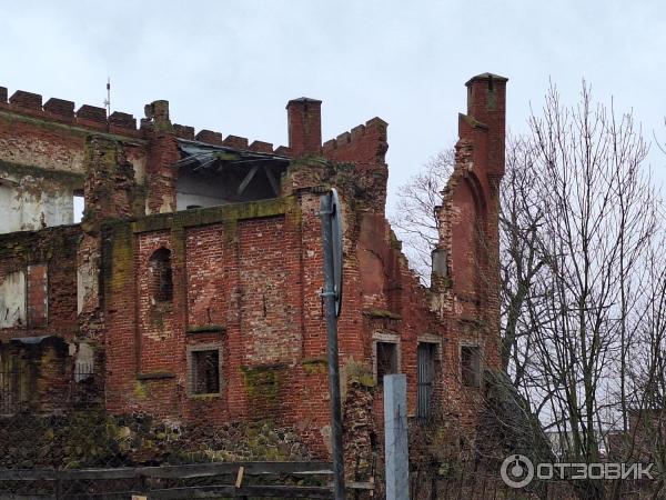 Замок Шаакен (Россия, Калининградская область) фото