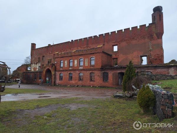 Замок Шаакен (Россия, Калининградская область) фото