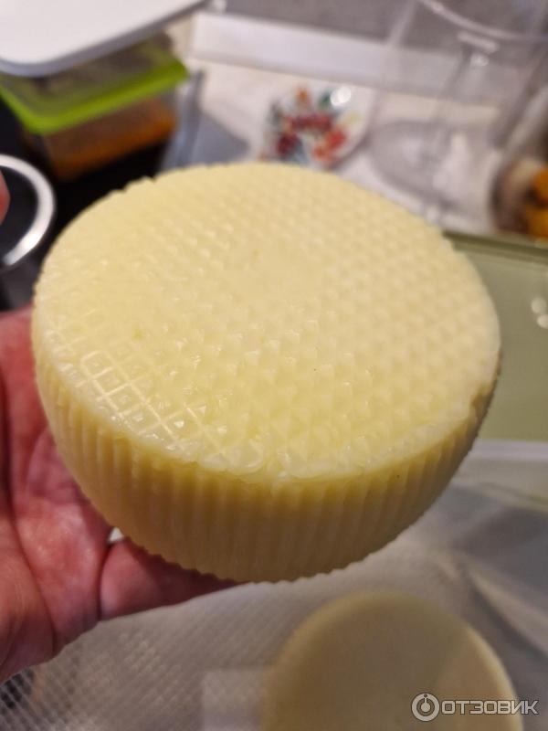 Cheese-lab.ru - онлайн-школа сыроделия Cheese lab фото