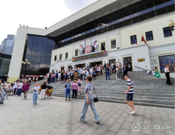 Цирковая программа Матрешка в цирке Ю. Никулина фото