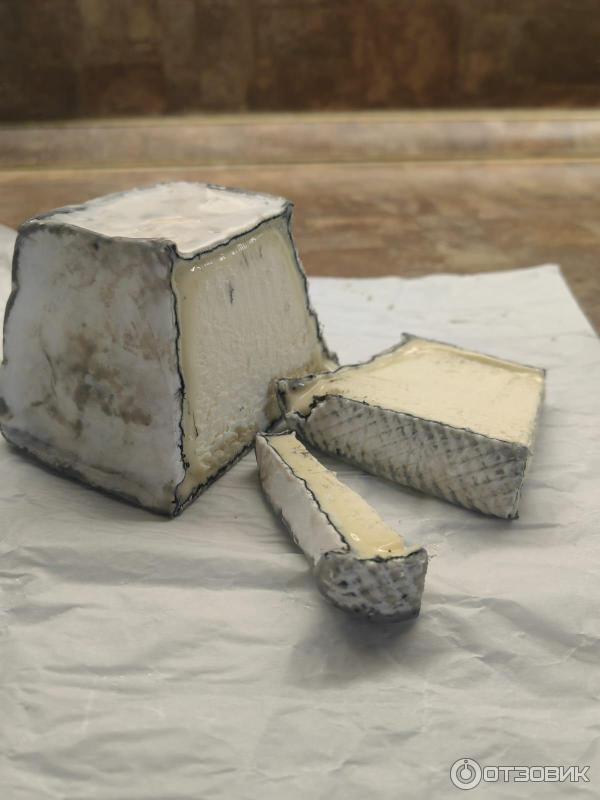 Cheese-lab.ru - онлайн-школа сыроделия Cheese lab фото