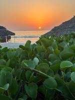 Отель Lou'lou'a Beach Resort Sharjah (ОАЭ, Шарджа) фото