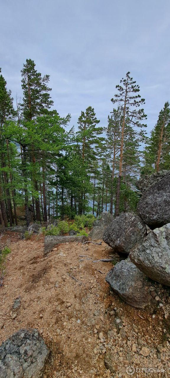 Бухты Песчаная и Бабушка (Россия, Байкал) фото