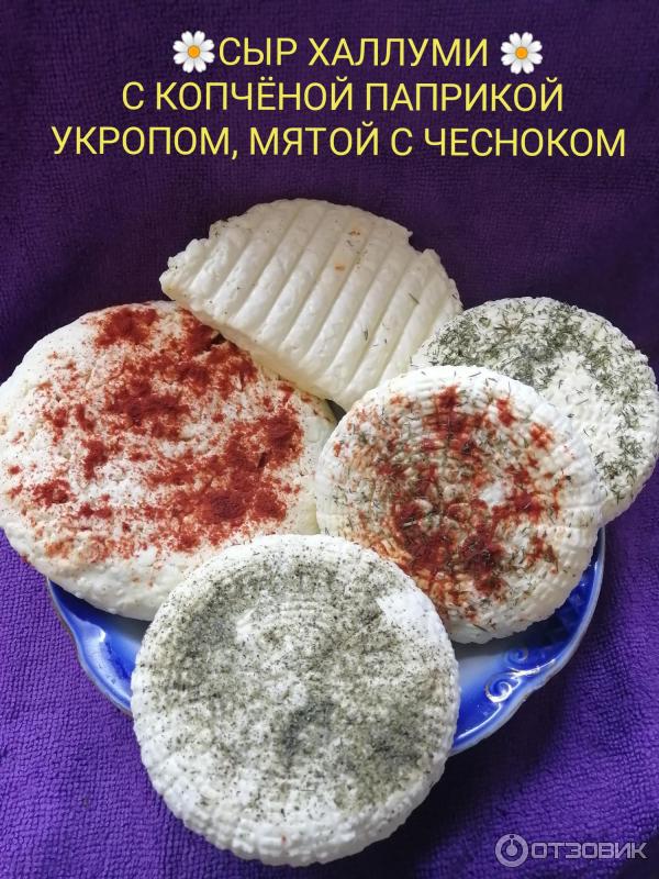 Cheese-lab.ru - онлайн-школа сыроделия Cheese lab фото