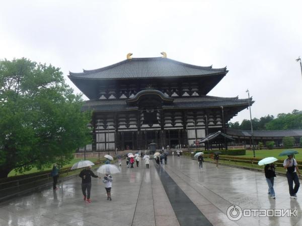 Экскурсия по Японии фото