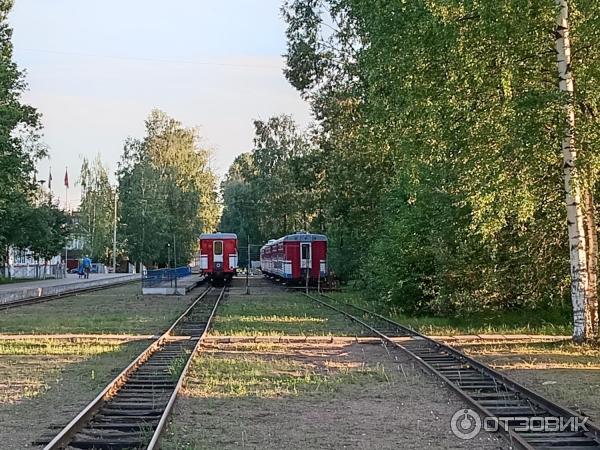 Малая Октябрьская детская железная дорога (Россия, Санкт-Петербург) фото