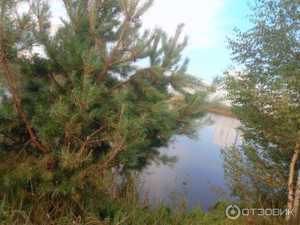 Сквер народного единства (Беларусь, Гомель) фото