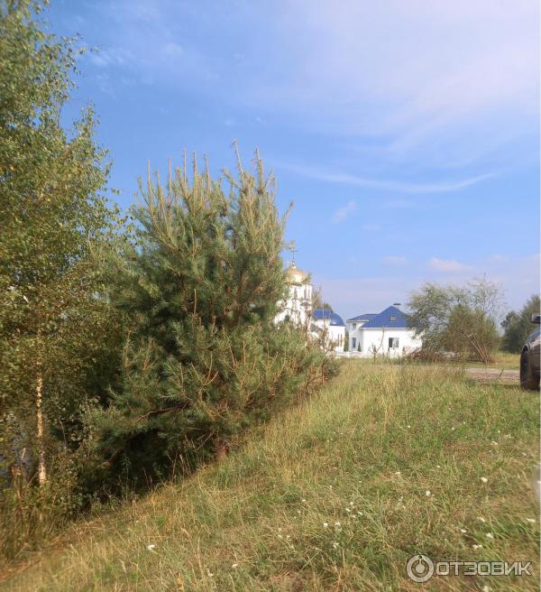 Сквер народного единства (Беларусь, Гомель) фото