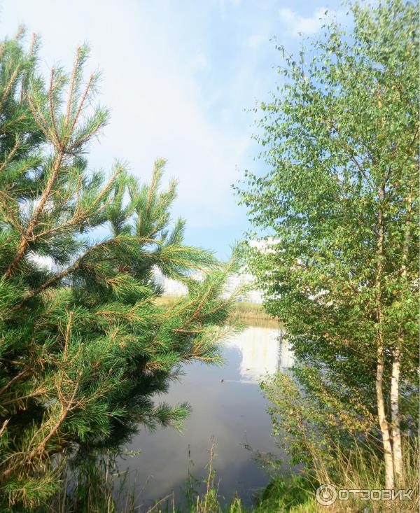 Сквер народного единства (Беларусь, Гомель) фото