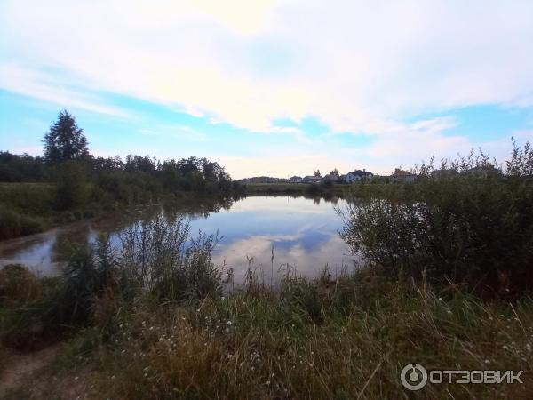 Сквер народного единства (Беларусь, Гомель) фото