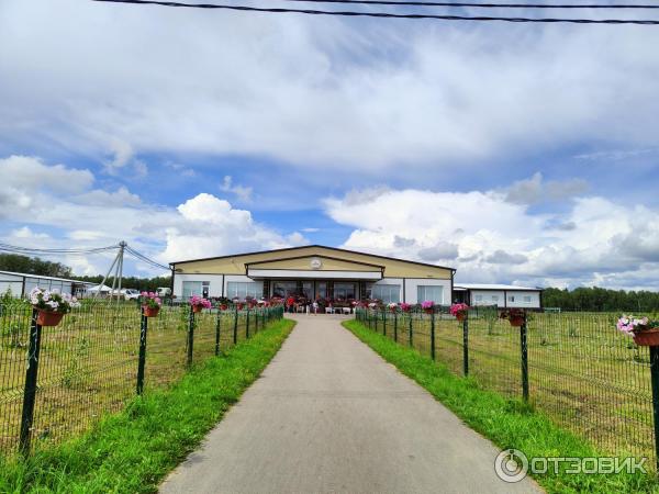 Экскурсия на сыроварню Курцево (Россия, Нижегородская область) фото