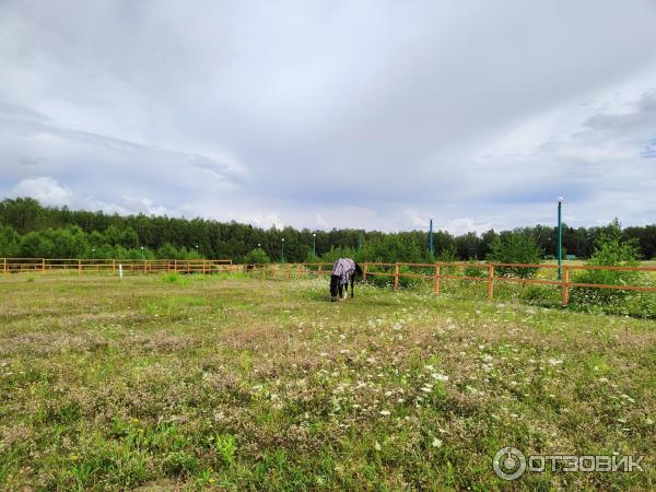 Экскурсия на сыроварню Курцево (Россия, Нижегородская область) фото